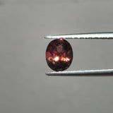 Tourmaline bicolore de Madagascar naturelle - TOU-MAD-162-012-080126 - Pierre Facettée