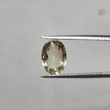 Tourmaline bicolore de Madagascar naturelle - TOU-MAD-275-012-080126 - Pierre Facettée